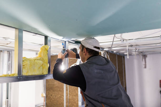 Best Blown-in Insulation in Charlottesville, VA